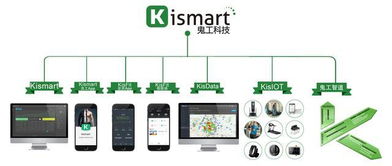 2018年上海市健身俱樂部數(shù)據(jù)報(bào)告 信息技術(shù)驅(qū)動(dòng)行業(yè)變革與未來(lái)展望