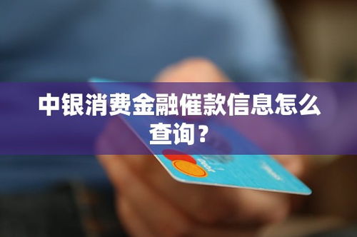 中銀消費金融催款信息查詢指南及經(jīng)濟(jì)信息咨詢服務(wù)解析
